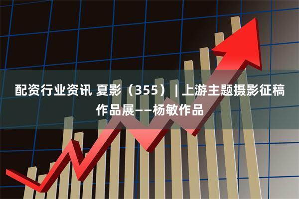 配资行业资讯 夏影（355） | 上游主题摄影征稿作品展——杨敏作品