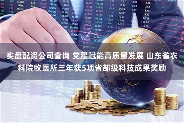 实盘配资公司查询 党建赋能高质量发展 山东省农科院牧医所三年获5项省部级科技成果奖励