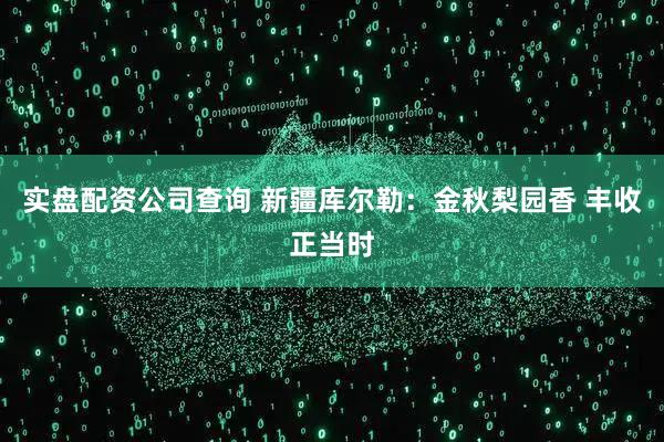 实盘配资公司查询 新疆库尔勒：金秋梨园香 丰收正当时